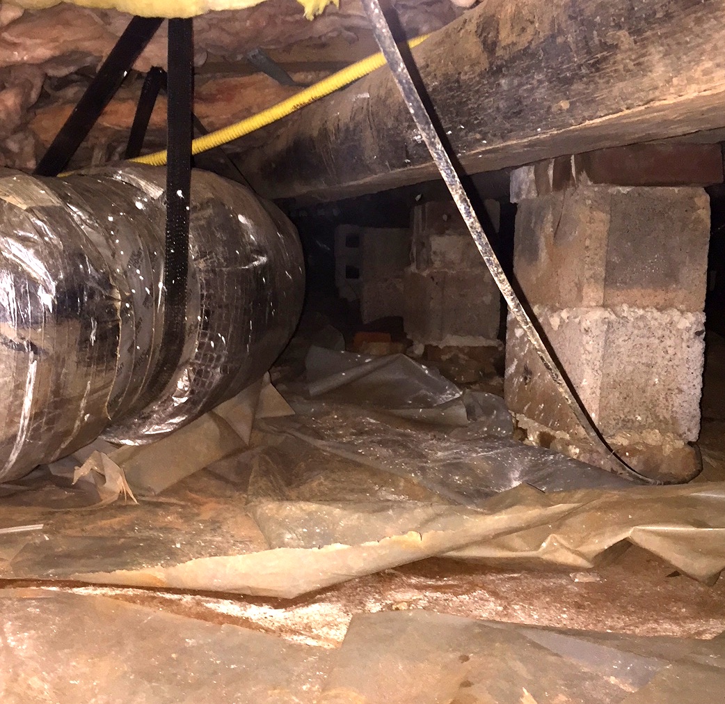 crawlspace 3