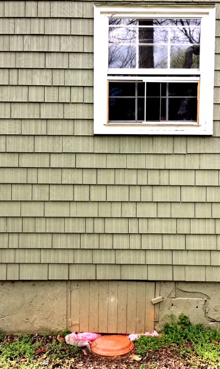 crawlspace exterior side